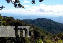 Una aventura inolvidable en el Cerro Mogotón, la montaña más alta de Nicaragua