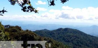 Una aventura inolvidable en el Cerro Mogotón, la montaña más alta de Nicaragua