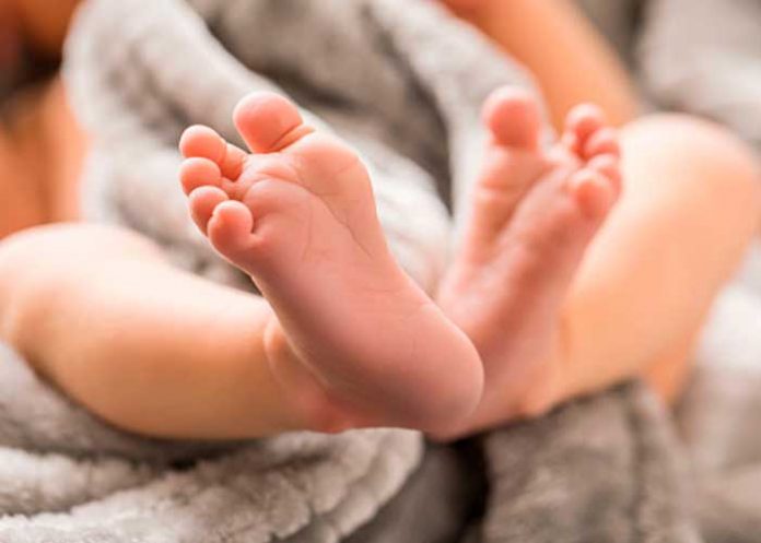 Crisis alimentaria en Afganistán: Mujer vende a uno de sus gemelos