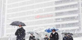 Temporal de nieve en Japón deja sin energía eléctrica varias viviendas