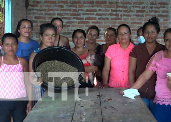 ometepe1 Mujeres salen adelante con estrategias productivas del Gobierno en Ometepe