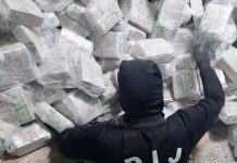 Incautan 10 millones de dólares en Panamá vinculados al Clan del Golfo