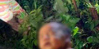 ¡Milagro! Bebé abandonada en un bosque de tailandia sobrevivo a picaduras