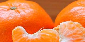 ¿Milagro o sacrilegio? Afirman que Jesús apareció en una mandarina