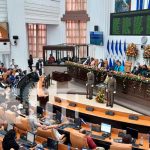Conozca a los nuevos diputados juramentados en la Asamblea Nacional Conozca a los nuev@s diputad@s juramentad@s en la Asamblea Nacional