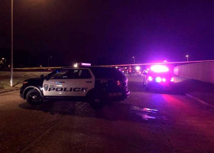 Menor sale a pasear mascota y la hallan muerta con 22 balazos