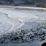 Llegaron a California olas de tsunami tras la erupción de volcán en Tonga