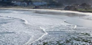 Llegaron a California olas de tsunami tras la erupción de volcán en Tonga