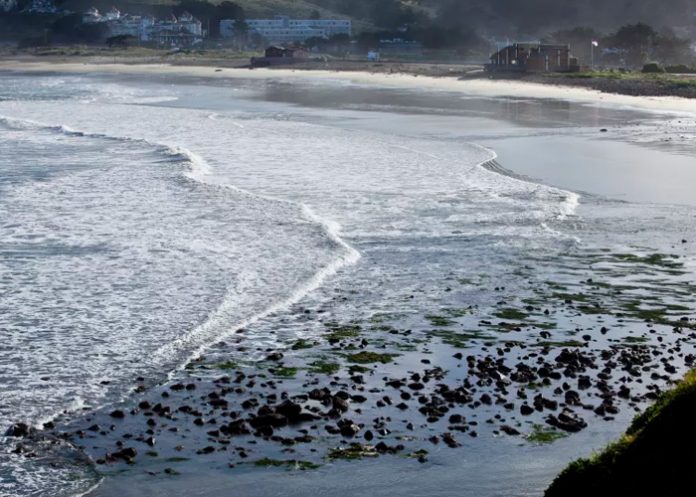 Llegaron a California olas de tsunami tras la erupción de volcán en Tonga