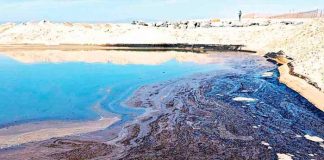 En Perú fueron afectadas por derrame de de petróleo faunas marinas