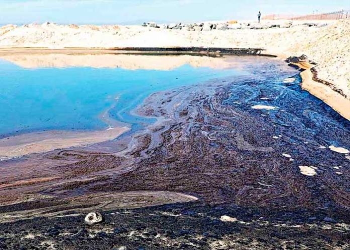 1 En Perú fueron afectadas por derrame de de petróleo faunas marinas