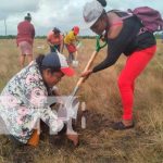 Innovan producción agropecuaria con una finca en Bilwi Innovan producción agropecuaria con una finca experimental en Bilwi