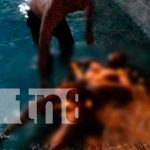Joven fue encontrado muerto en un centro recreativo de Jinotega Joven fue encontrado muerto en un centro recreativo de Jinotega