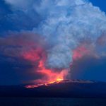 El volcán Wolf santuario de iguanas rosadas de Galápagos, entra en erupción El volcán Wolf santuario de iguanas rosadas de Galápagos, entra en erupción