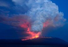 El volcán Wolf santuario de iguanas rosadas de Galápagos, entra en erupción
