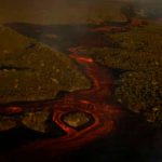 Videos de la erupción del Volcán Wolf, iguanas rosadas, ¿en riesgo?