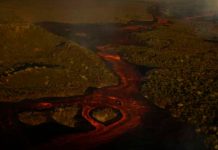 Videos de la erupción del Volcán Wolf, iguanas rosadas, ¿en riesgo? Videos de la erupción del Volcán Wolf, iguanas rosadas, ¿en riesgo?