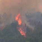 Incendios forestales en Argentia continúan afectando varias provincias