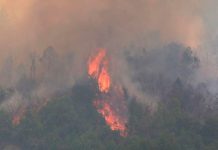Incendios forestales en Argentina continúan afectando varias provincias Incendios forestales en Argentia continúan afectando varias provincias