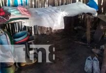 Tremendo «animalón» le espanta el sueño a hombre en la Isla de Ometepe