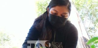 Joven inicia emprendimiento con patio saludable en Masaya