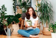 Atrae buenas energías en tu hogar con estos tips