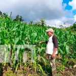 El MEFCCA garantiza seguridad alimentaria en el Caribe Norte El MEFCCA garantiza seguridad alimentaria en el Caribe Norte