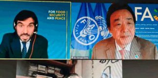 Nicaragua participa en encuentro virtual con la FAO