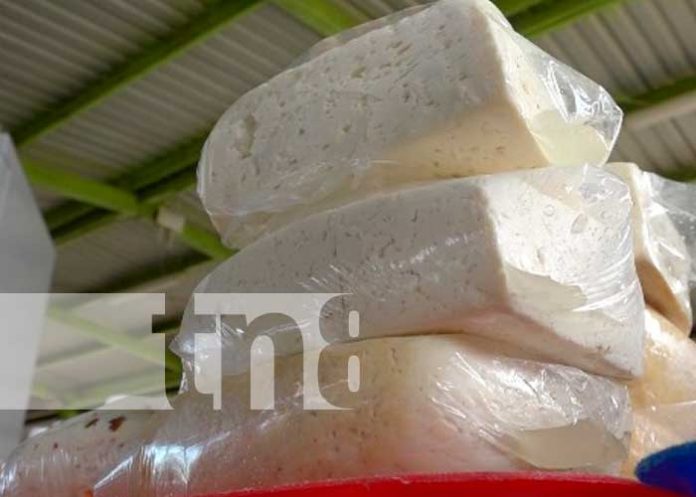 Feria de Lácteos este domingo en la Avenida Bolívar a Chávez