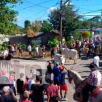 Realizan tradicional tope de toros en Diriomo Realizan tradicional tope de toros en Diriomo