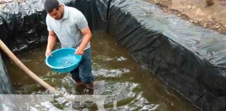Entregan alevines de Tilapia en Río San Juan