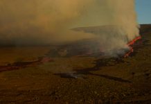 Flujos de lava del volcán Wolf en Ecuador se acercan al mar Flujos de lava del volcán Wolf en Ecuador se acercan al mar