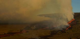 Flujos de lava del volcán Wolf en Ecuador se acercan al mar