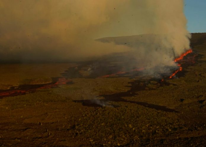 Flujos de lava del volcán Wolf en Ecuador se acercan al mar