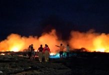 Voraz incendio forestal en Ecuador consume varias hectáreas de vegetación Voraz incendio forestal en Ecuador consume varias hectáreas de vegetación