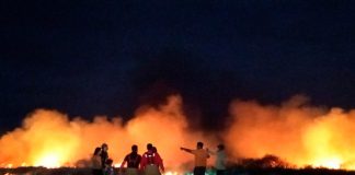 Voraz incendio forestal en Ecuador consume varias hectáreas de vegetación