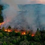 Incendio en la Patagonia, Argentina arrasa más de 80.000 hectáreas Incendio en la Patagonia, Argentina arrasa más de 80.000 hectáreas