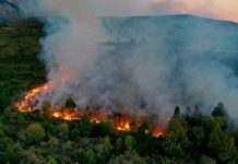 Incendio en la Patagonia, Argentina arrasa más de 80.000 hectáreas