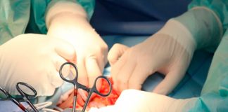 ¡Lo último! Dos riñones de cerdo son trasplantados con éxito a un humano