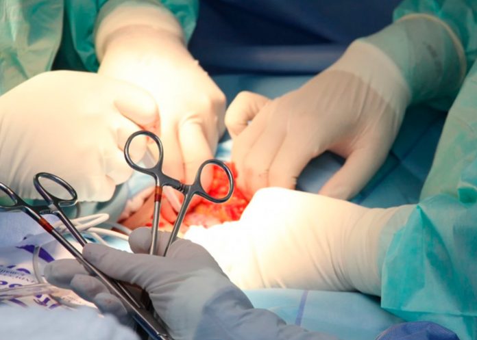 3 ¡Lo último! Dos riñones de cerdo son trasplantados con éxito a un humano