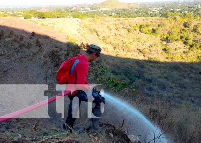 Bomberos sofocan incendio forestal en el cerro Mostastepe