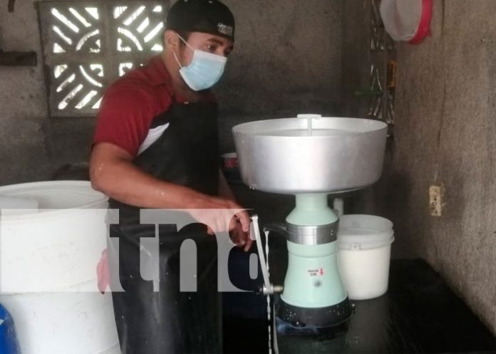 3 Productores de Boaco ofrecen un mejor producto