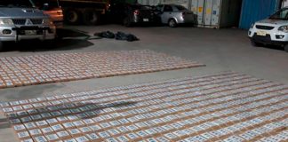 Más de 8 toneladas de cocaína son decomisadas en Guayas, Ecuador