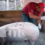 Familias productoras de Matagalpa beneficiadas