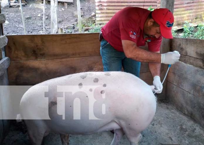 Familias productoras de Matagalpa beneficiadas