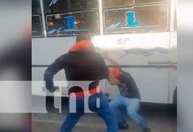 Viral en Nicaragua: Busero y taxero se dan con todo en Managua (VIDEO) Busero y taxero se dan con todo en Managua (VIDEO)