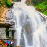 Autoridades de Murra dan la bienvenida al verano 2022 Autoridades de Murra dan la bienvenida al verano 2022