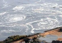 Alerta de tsunami en Japón tras erupción del volcán Tonga