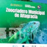 Inauguran primer Zoocriadero de iguanas en la Isla de Ometepe