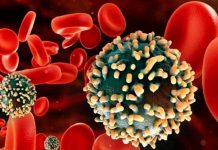Investigadores aseguran que nuevo método podrá «matar» células con VIH Investigadores aseguran que nuevo método podrá "matar" células con VIH